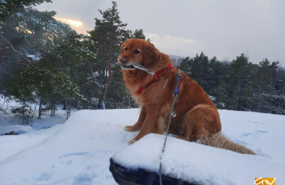 Moikka und schöne Grüße aus Finnland! 