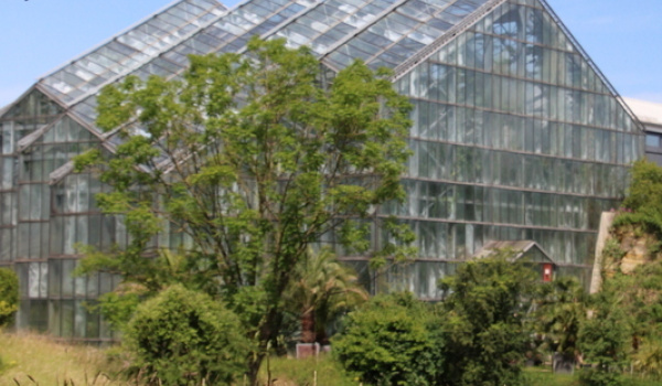 Ein literarischer Sommerspaziergang zum Botanischen Garten