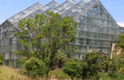 Ein literarischer Sommerspaziergang zum Botanischen Garten