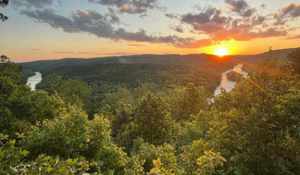 Ein Bericht aus Georgia, USA: Tierauktionen und Theater
