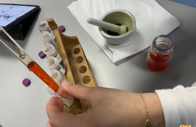 Ein anregendes Experiment zur Fotosynthese