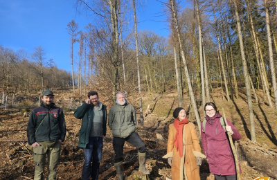 Projekt Zukunftswald – nachhaltig anpacken
