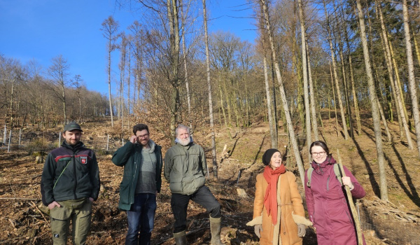 Projekt Zukunftswald – nachhaltig anpacken