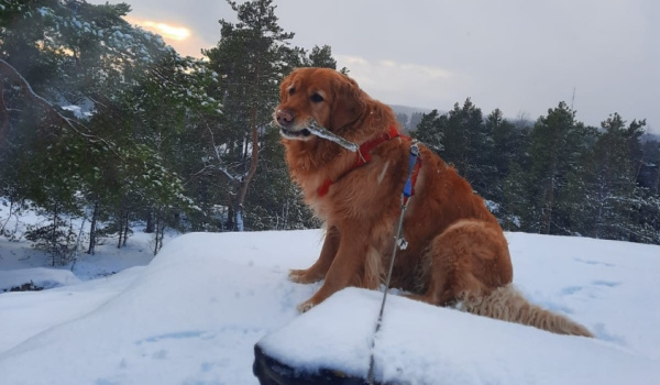 Moikka und schöne Grüße aus Finnland! 
