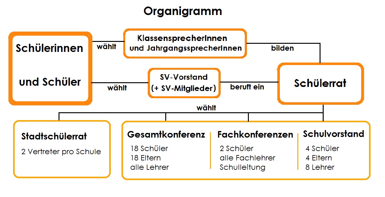 SV Organigramm