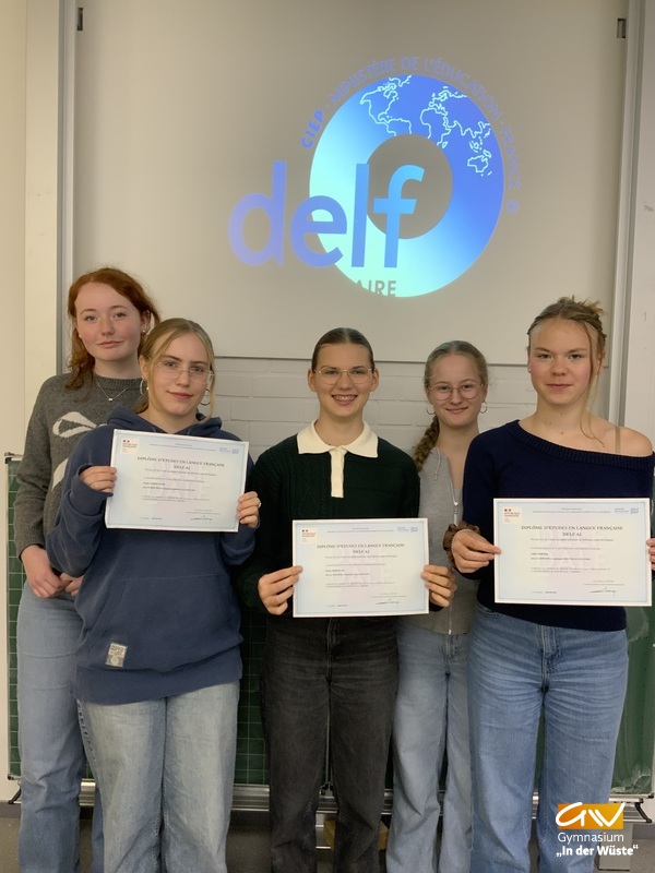 11 DELF 01